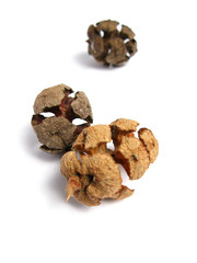 Three Pine Cones on white background