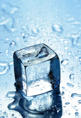 ice cube