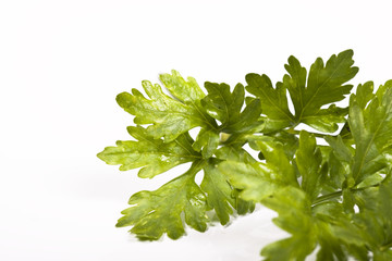 parsley