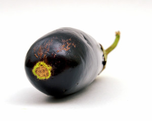 Fresh eggplant — face view