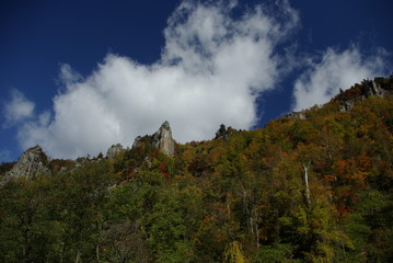 Fototapeta premium 紅葉の層雲峡