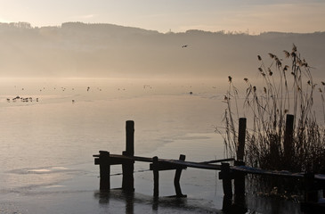 Steg am See