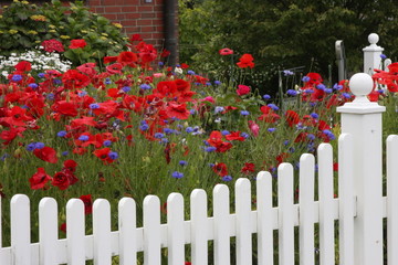 Fototapeta premium Garten