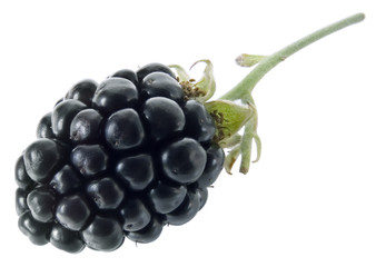 BlackBerry