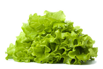 fresh lettuce isolated