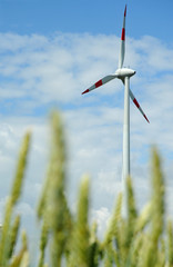 Fototapeta premium Windräder 8