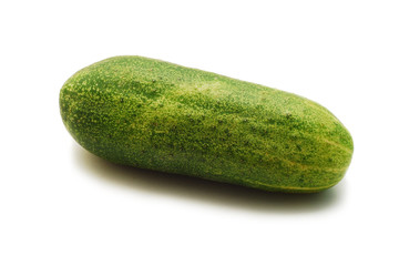cucumber isolated