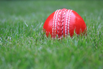 Leather Cricket Ball