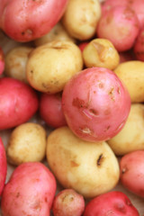 Washed Fresh Potatoes