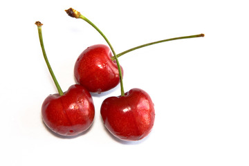 Cherry