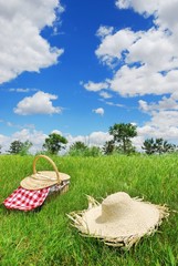 Food Basket and Straw Hat on Meadow
