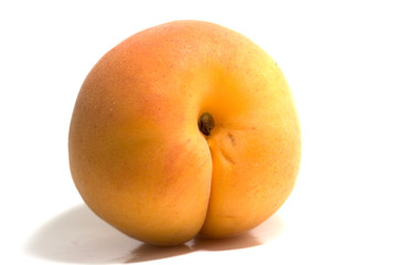 apricot isolated on white background
