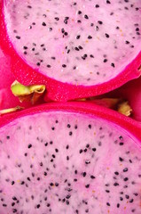Pitaya
