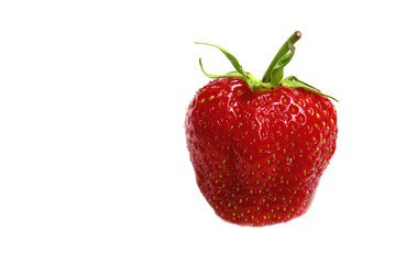 Single strawberry