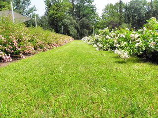 Rózany  1 © Tomasz Sergej