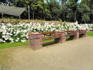 OLYMPUS DIGITAL CAMERA © Tomasz Sergej