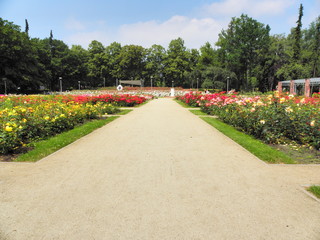 OLYMPUS DIGITAL CAMERA © Tomasz Sergej