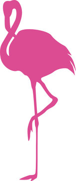 Flamingo_pink