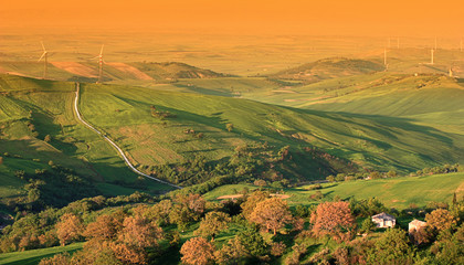 Colline pugliesi a primavera
