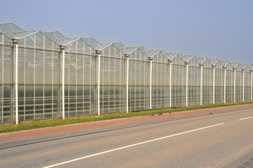 Fototapeta na wymiar Greenhouses