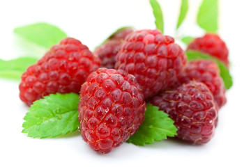 frische himbeeren