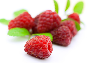frische himbeeren