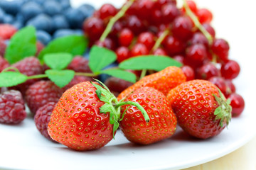 Beeren Sommer - Mix