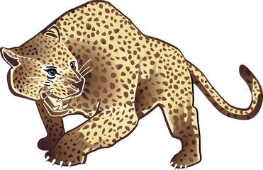 leopard