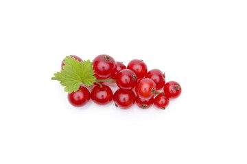 Rote Johannisbeeren
