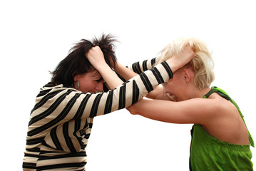 fight blondes and brunettes