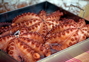 Tintenfisch Pulpo