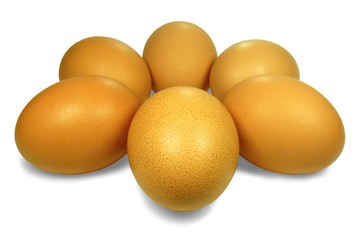 Six Brown Eggs in Uniform Shape on White Background