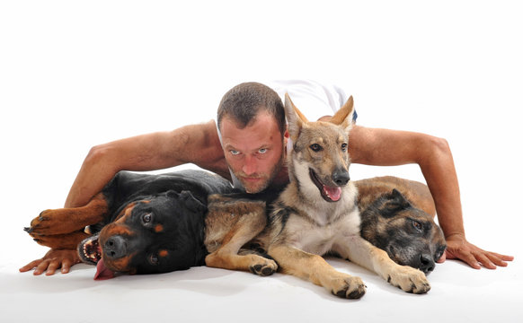 homme aux chiens