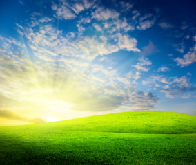 Fototapeta na wymiar grass and sunset