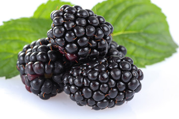 frische brombeeren,fresh blackberries