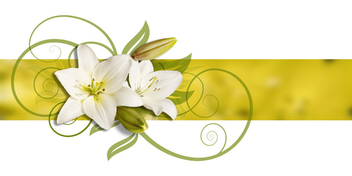 decoration of lillies on  banner