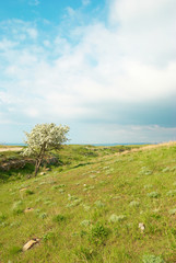 Fototapeta na wymiar Green landscape with clouds.