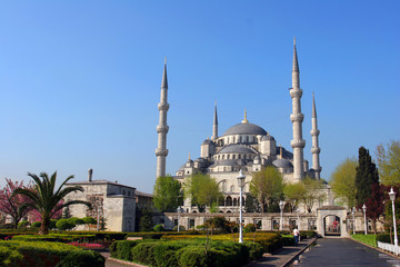 Fototapeta na wymiar Błękitny Meczet, Stambuł, Turcja