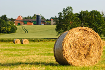 Countryside