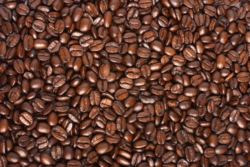 Fototapeta premium Coffe beans backround