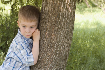 care for nature - little boy embrace a tree