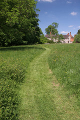 Path Mown Across Garden Lawn