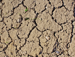 Dry ground