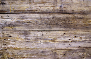 Fototapeta premium Weathered planks