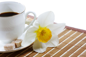 Morning cup of coffee