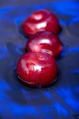 Plum on blue water