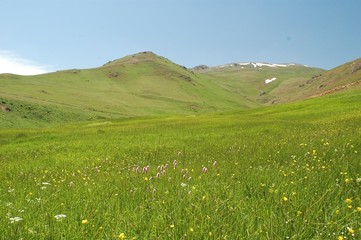 alm im pontischen gebirge