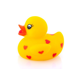 Love duck