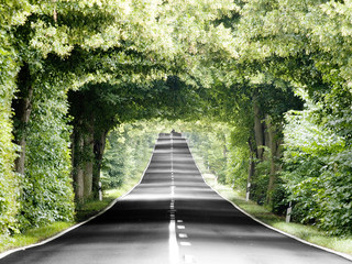 Langer weg