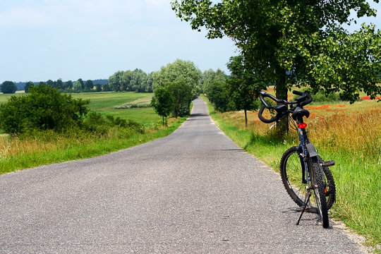 Bicycle 02